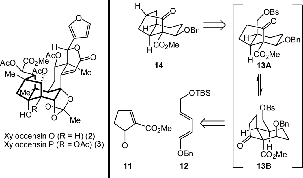 Scheme 2