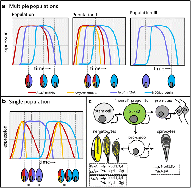 Fig. 11