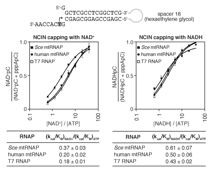 Figure 2—figure supplement 2.