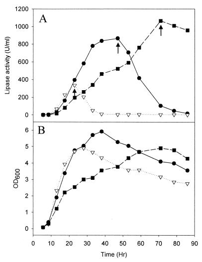 FIG. 5