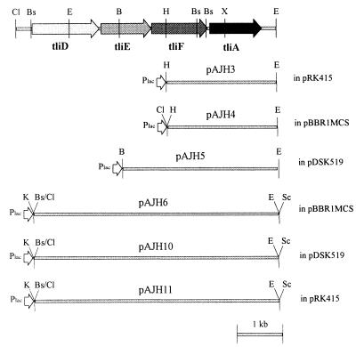 FIG. 1