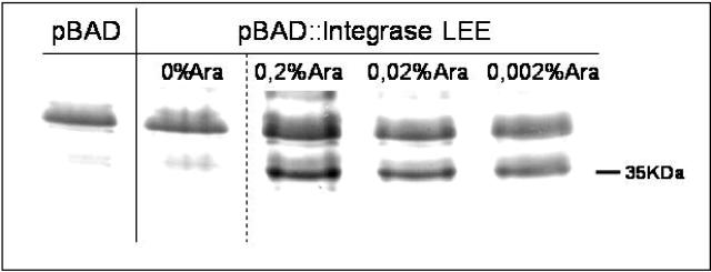 FIG. 5.