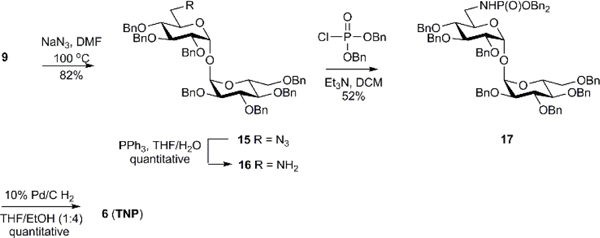 Scheme 3.