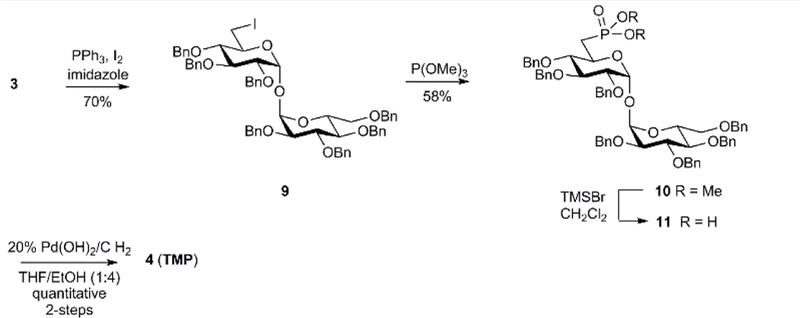 Scheme 1.