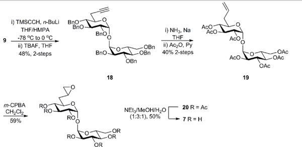 Scheme 4.