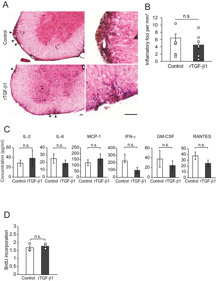 Figure 5—figure supplement 1.