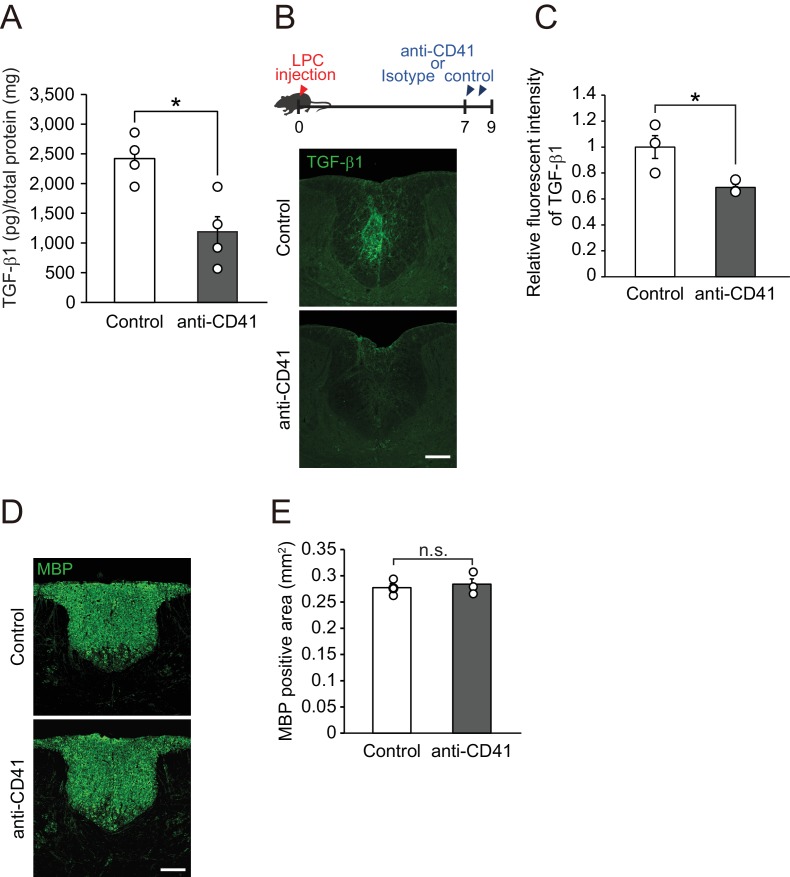 Figure 3—figure supplement 1.