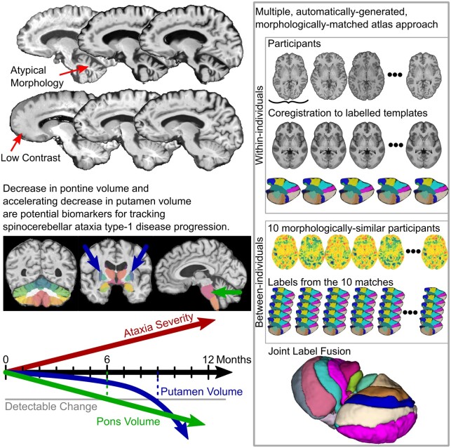 Graphical Abstract