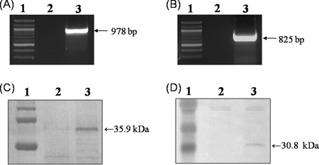 FIG. 5.