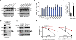 Figure 6