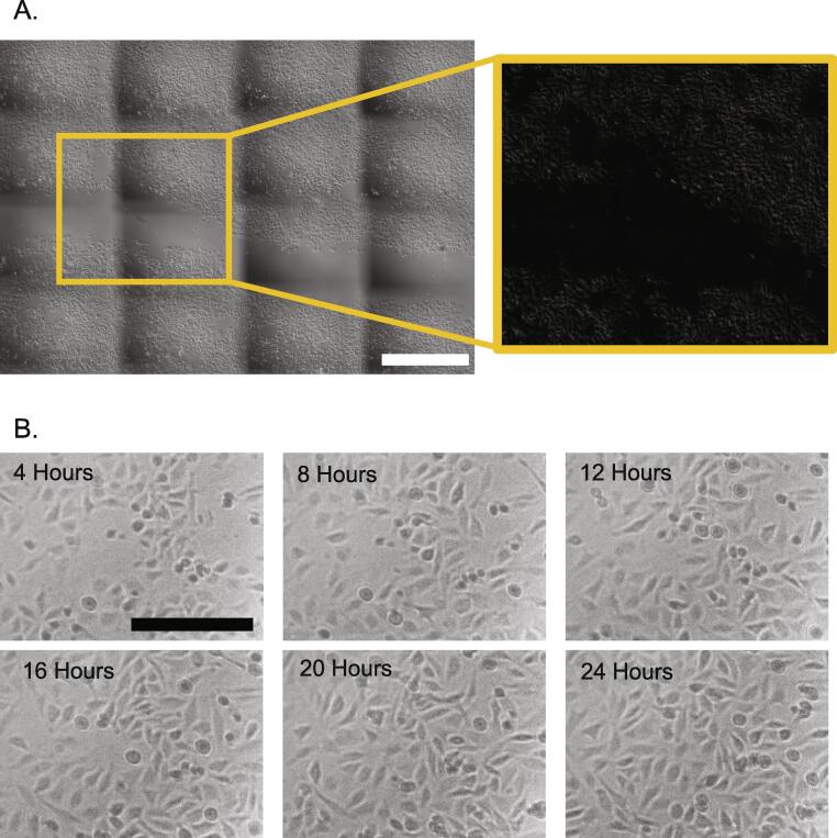 Fig. 16