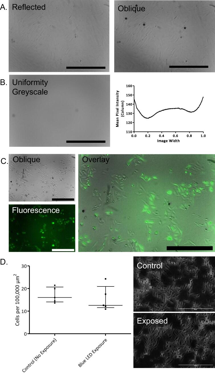 Fig. 15