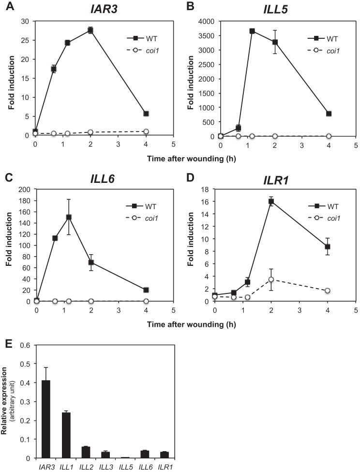 FIGURE 3.