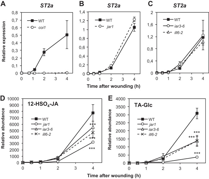 FIGURE 7.