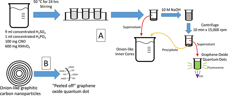 Figure 1 –