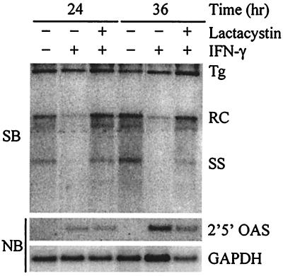 FIG. 3.