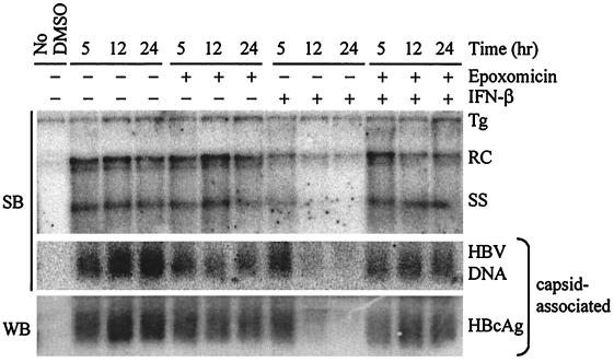 FIG. 5.