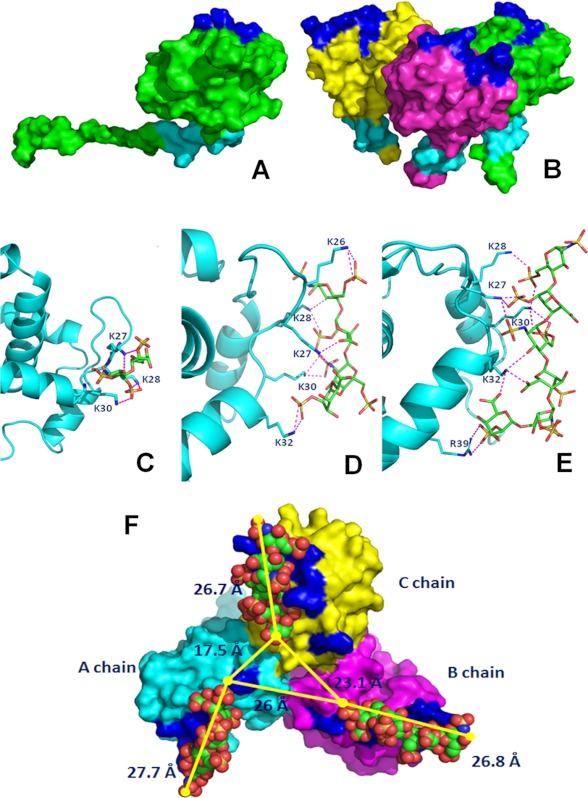 FIGURE 1.