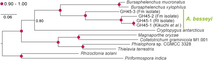 Fig 5