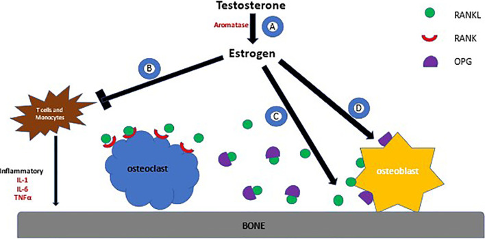 Figure 1