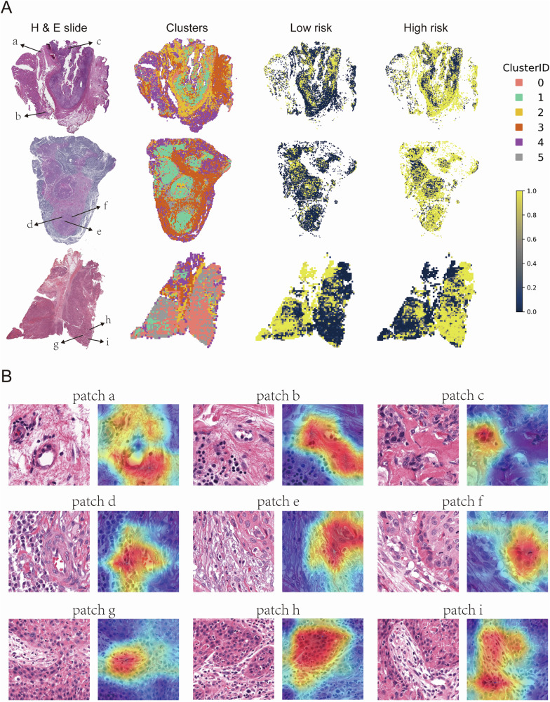 Fig. 7