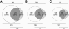 FIG. 1.