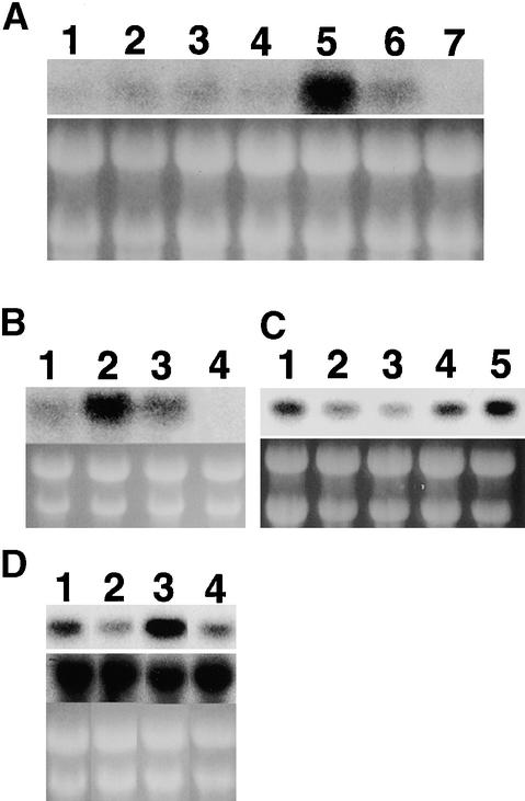 Figure 10.