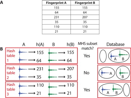 Fig. 6