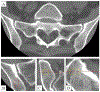 Fig. 3