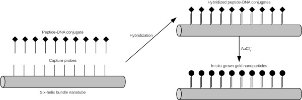 Figure 8