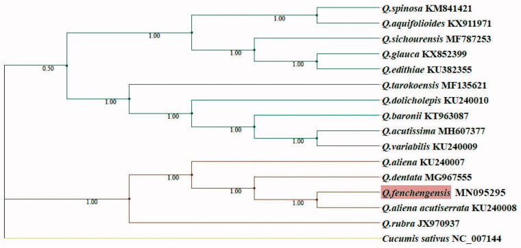 Figure 1.