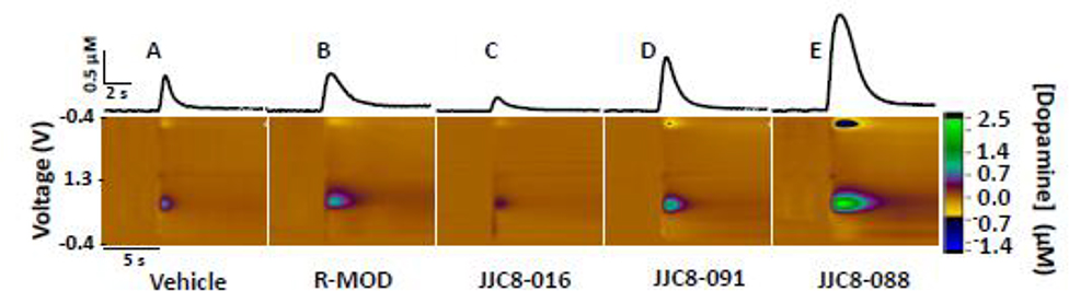 Figure 1: