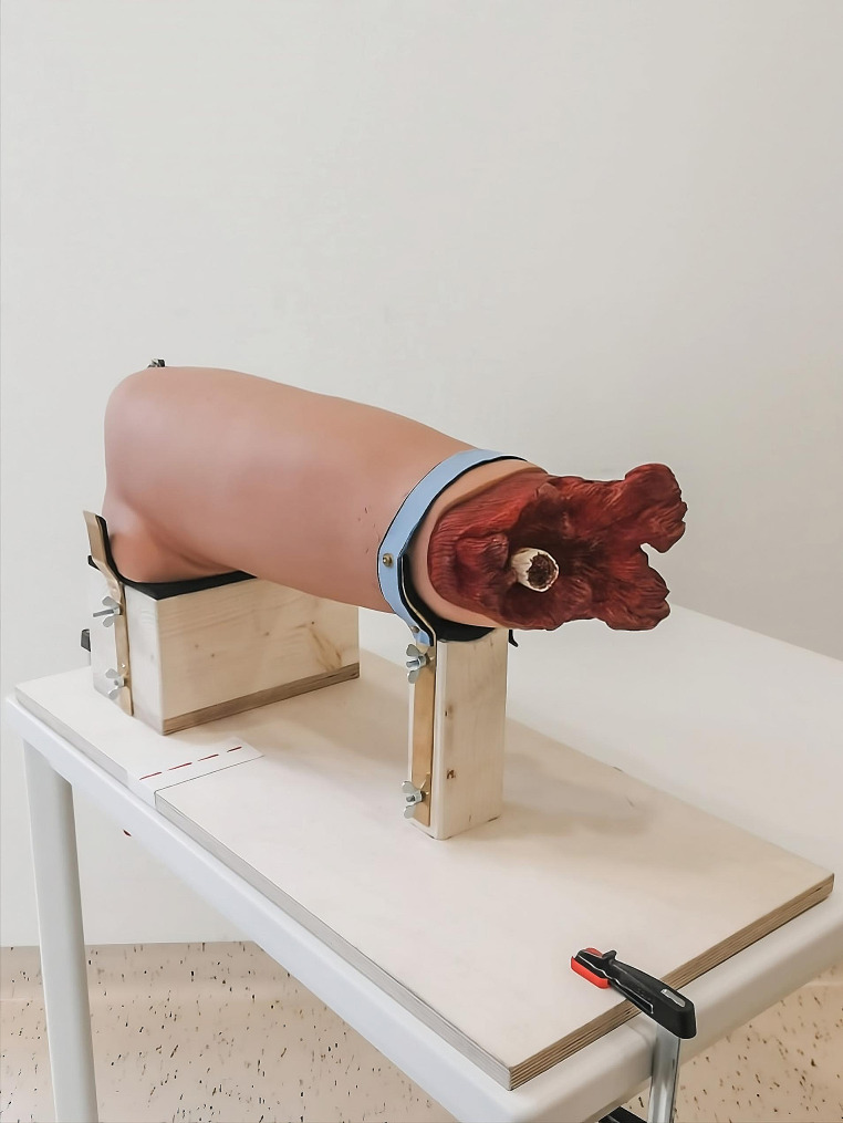 Fig. 2
