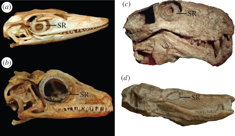 Figure 1.