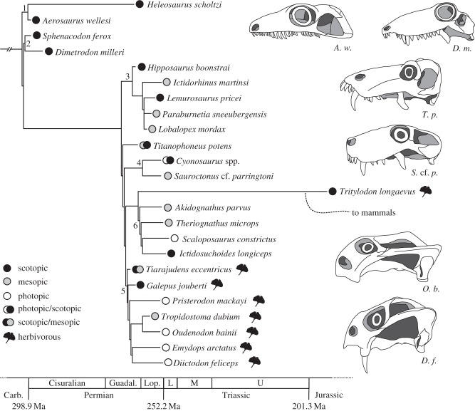 Figure 4.