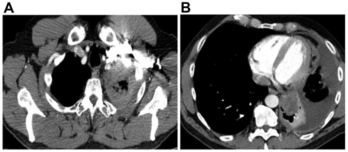 Figure 4.