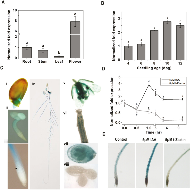 Fig. 4.