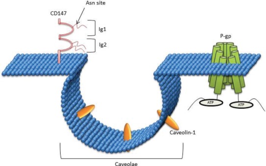 Figure 3.