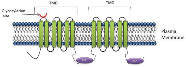 Figure 1.