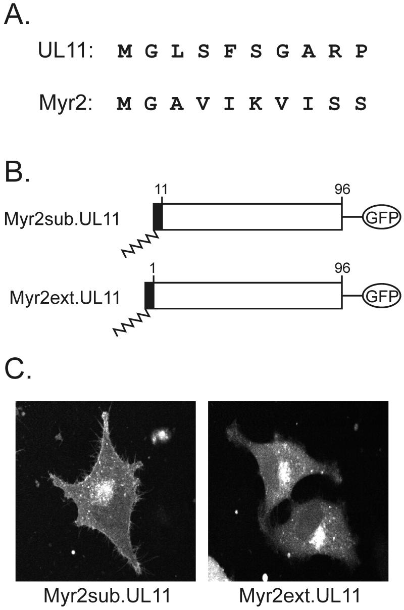 FIG. 6