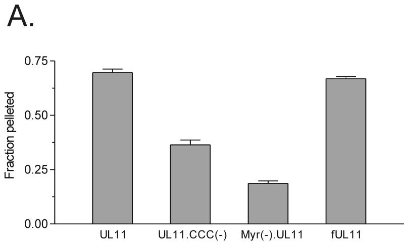 FIG. 8