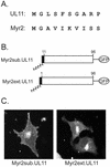 FIG. 6