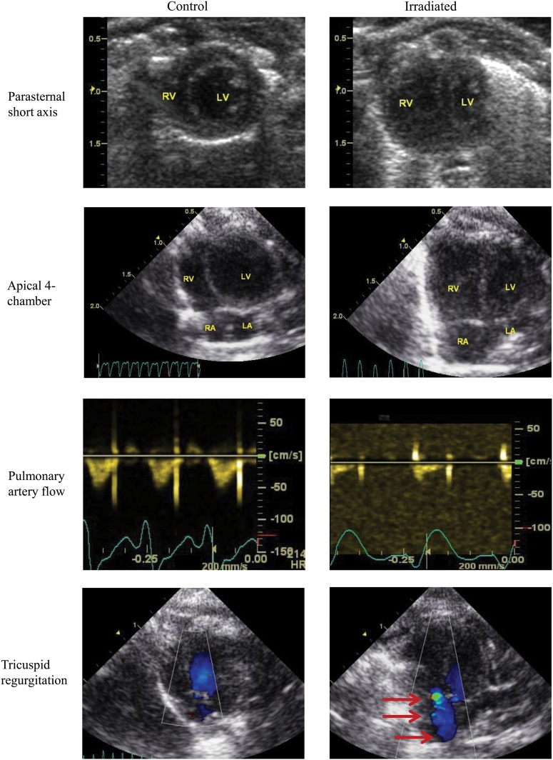 Fig. 5.