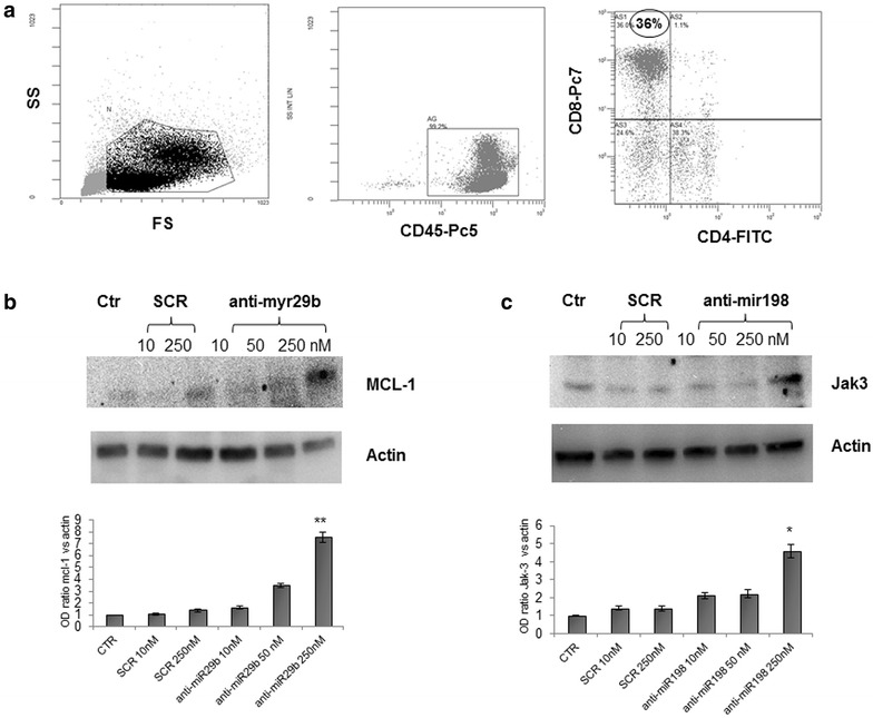 Fig. 6