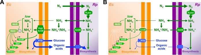 FIG 7