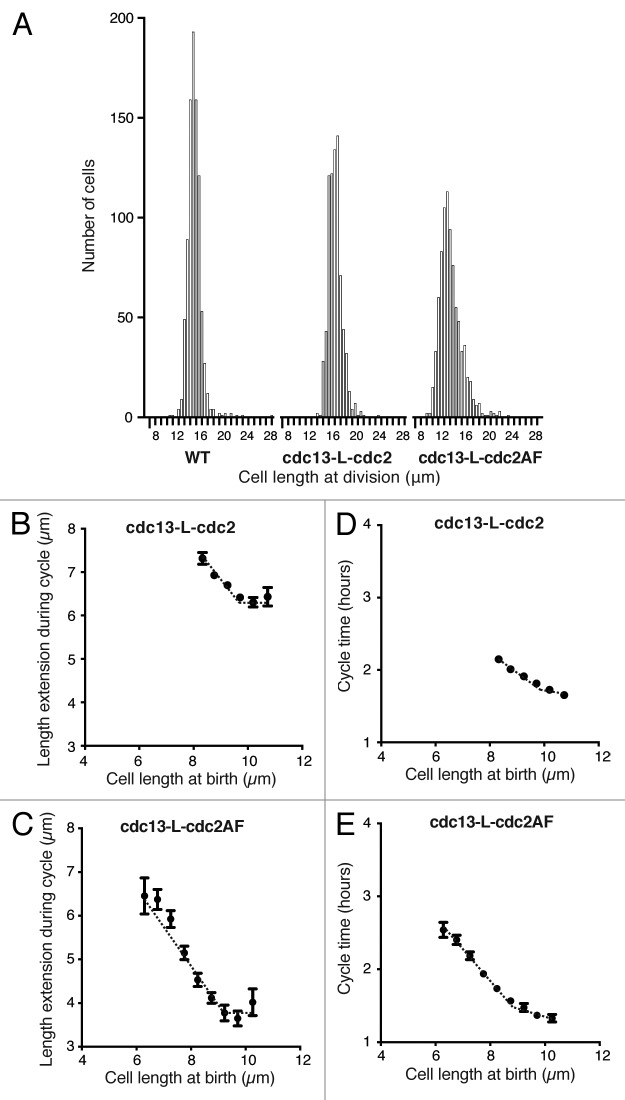 Figure 7.