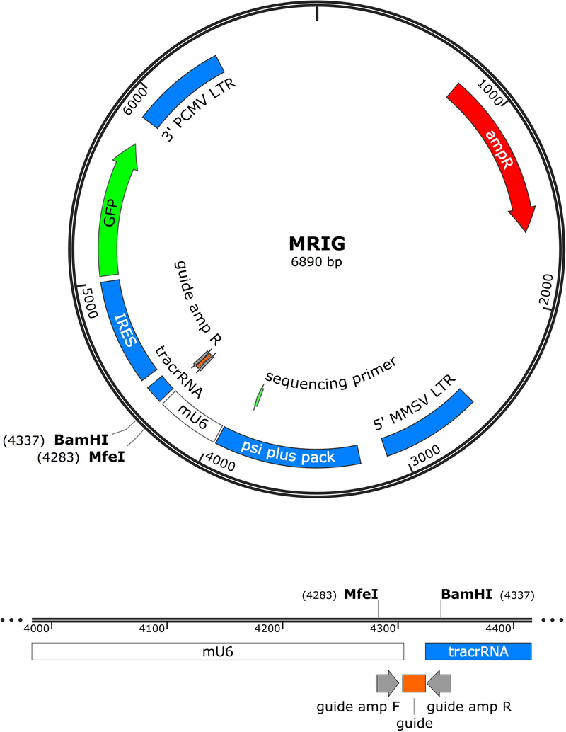 Figure 2.