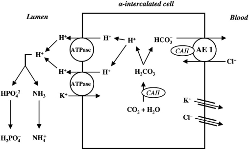 Fig. (2)