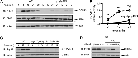 Figure 4.—