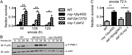 Figure 5.—